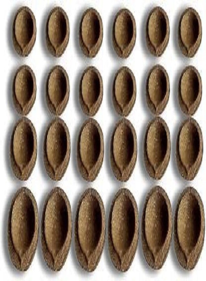 suvasane Natural Panchgavya Cow Dung Diyas (24 Count) - Eco-Friendly Gobar Diya/Vilakku/Deepa for Daily Puja and Festivals | Gift Item for Diwali | - Image 1
